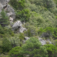 Photo de France - Saint-Guilhem-le-Désert